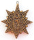 Radiant Star with Christ Child Springerle Cookie Mold