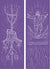 Ad Crucem Advent Banners - Violet