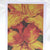 Agnus Dei - Orange Lily Cards - Set of 12 Cards