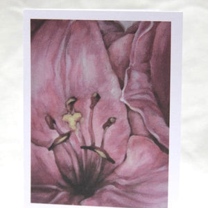 Agnus Dei - Pink Lily Cards - Set of 12 Cards