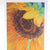 Agnus Dei - Sunflower Cards Psalm 91:4 - Set of 12 Cards